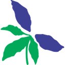 🌀💬 Entre síntomas y emociones: descubre si tu cuerpo ya pide tratamiento homeopático 🌱✨